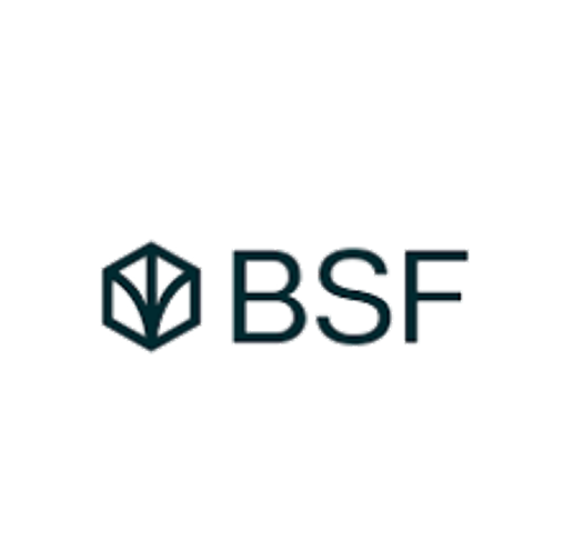 BSF